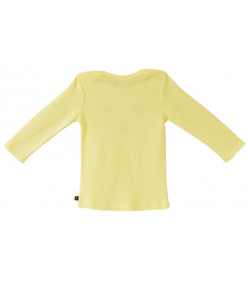 LOT DE 2 TEE SHIRTS ALBIN Sucre Orge