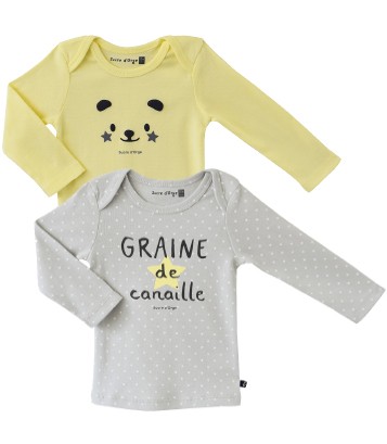 LOT DE 2 TEE SHIRTS ALBIN Sucre Orge