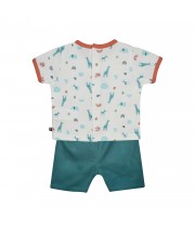 TEE SHIRT BERMUDA GEDEON Sucre Orge