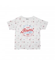 TEE SHIRT GIULIO Sucre Orge