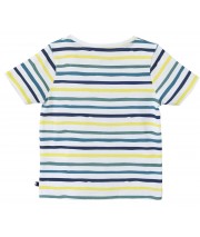 TEE SHIRT CHERBOURG Sucre Orge