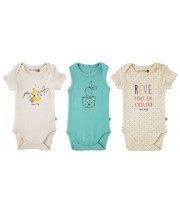 LOT DE 3 BODIES CHADY5 Sucre Orge