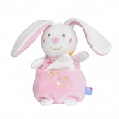 COFFRET CAJOU LAPIN 