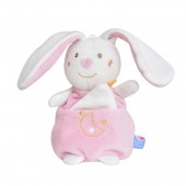 COFFRET CAJOU LAPIN 