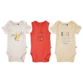 LOT DE 3 BODIES CENGIZ SUCRE D'ORGE