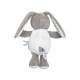 CAJOU LAPIN RUDEL Sucre Orge