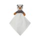 CAJOU PANDA Sucre Orge
