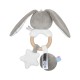 HOCHET LAPIN SUN Sucre Orge