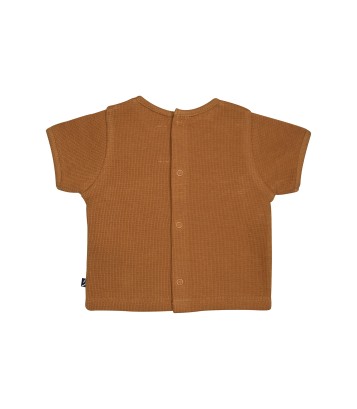 TSHIRT SHORT NATHEO Sucre Orge