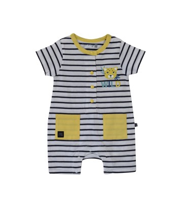 COMBICOURT NAISSANCE EMILIANO  Sucre Orge