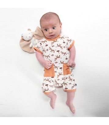 COMBICOURT IMPRIME ET BANDANA ESTEVE Sucre Orge