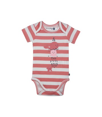 LOT DE 3 BODIES LAURELIA Sucre Orge