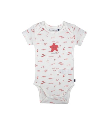 LOT DE 3 BODIES LAURELIA Sucre Orge