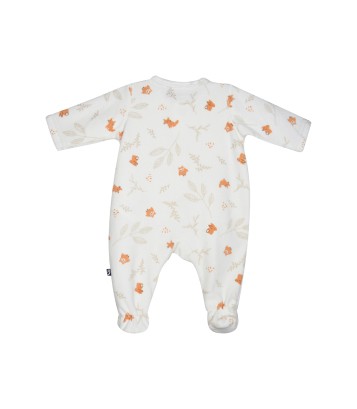 SET NAISSANCE MARCIUS Sucre Orge