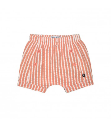 TEE SHIRT SHORT GERALD Sucre Orge