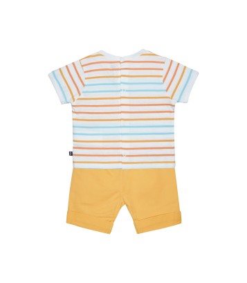 TEE SHIRT BERMUDA GILDAS Sucre Orge