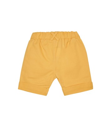 TEE SHIRT BERMUDA GILDAS Sucre Orge