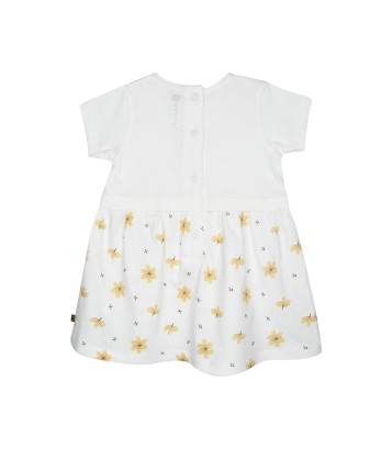 ROBE BANDEAU GIROFLEE Sucre Orge