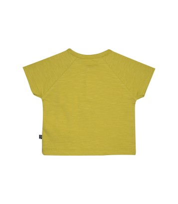 TSHIRT BERMUDA NICOLAS Sucre Orge