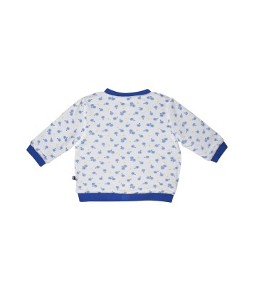 CARDIGAN LADISLAS Sucre Orge