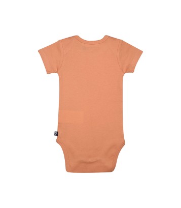 LOT DE 3 BODIES LAELIE Sucre Orge