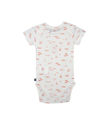 LOT DE 3 BODIES LAELIE Sucre Orge