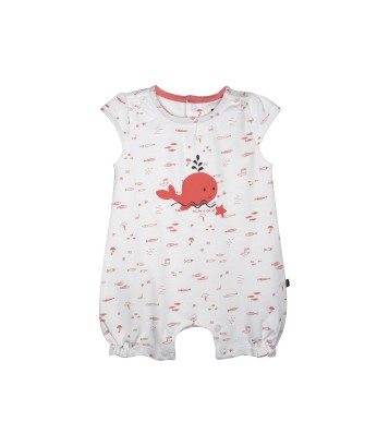 COMBICOURT LISBETH Sucre Orge