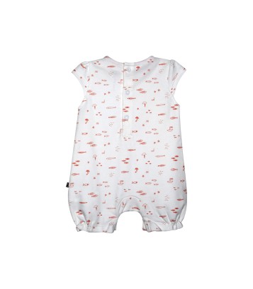 COMBICOURT LISBETH Sucre Orge