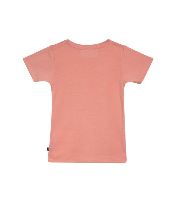 LOT DE 2 TEE SHIRT FICAJA Sucre Orge