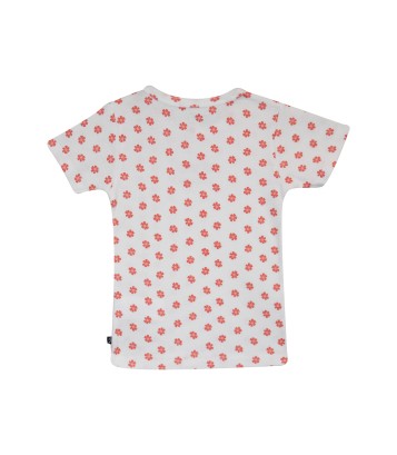 LOT DE 2 TEE SHIRT FICAJA Sucre Orge
