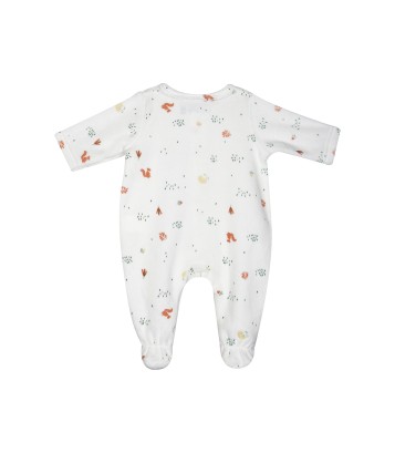 SET NAISSANCE JAVA Sucre Orge