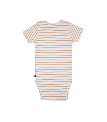 LOT DE 3 BODIES ODILON Sucre Orge