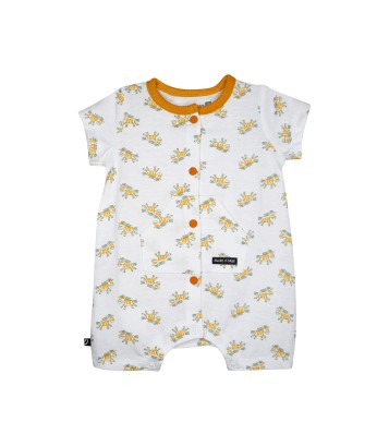 COMBICOURT NADEM Sucre Orge