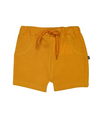 TSHIRT SHORT NAZERI Sucre Orge