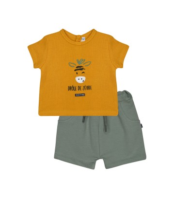 TSHIRT SHORT NOCENZIO Sucre Orge