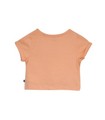 TSHIRT NORBERTE Sucre Orge