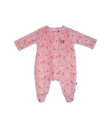 DORS BIEN NACEIRA Sucre Orge