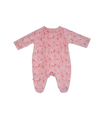 DORS BIEN NACEIRA Sucre Orge