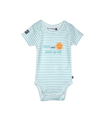 LOT DE 3 BODIES NORDINE Sucre Orge