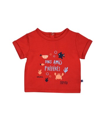 TEE SHIRT BAVOIR SHORT GAEL Sucre Orge