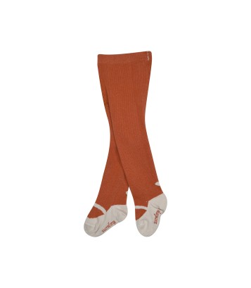 COLLANTS PAQUERETTE Sucre Orge