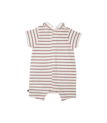 COMBICOURT LEONARDO NAISSANCE Sucre Orge