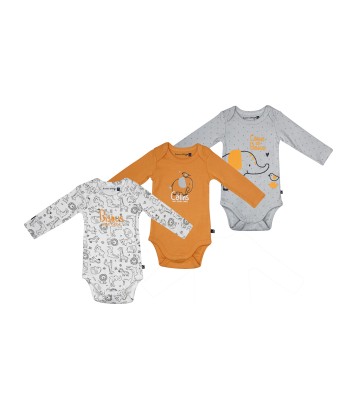 LOT DE 3 BODIES RUDY Sucre Orge