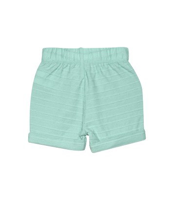 TSHIRT SHORT ROBERT Sucre Orge