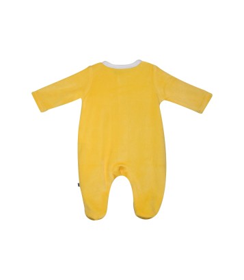 DORS BIEN GAYO Sucre Orge