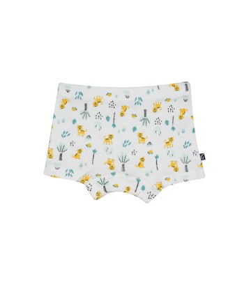 LOT DE 2 BOXERS GREGORIO Sucre Orge