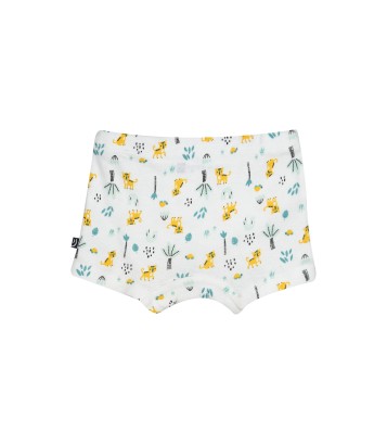 LOT DE 2 BOXERS GREGORIO Sucre Orge