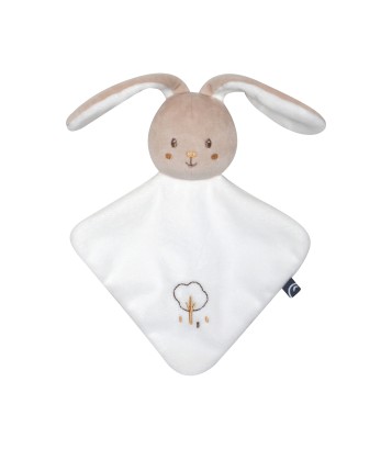 SET NAISSANCE SAM Sucre Orge