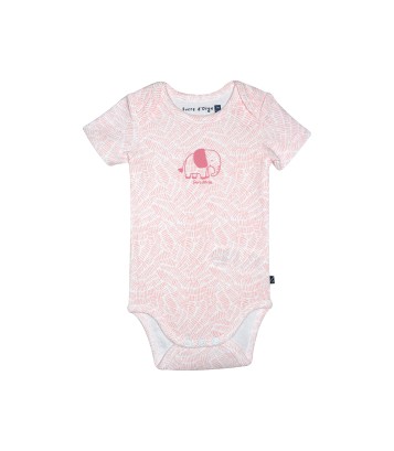 LOT DE 3 BODIES RAMYA Sucre Orge