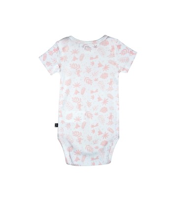 LOT DE 3 BODIES RAMYA Sucre Orge